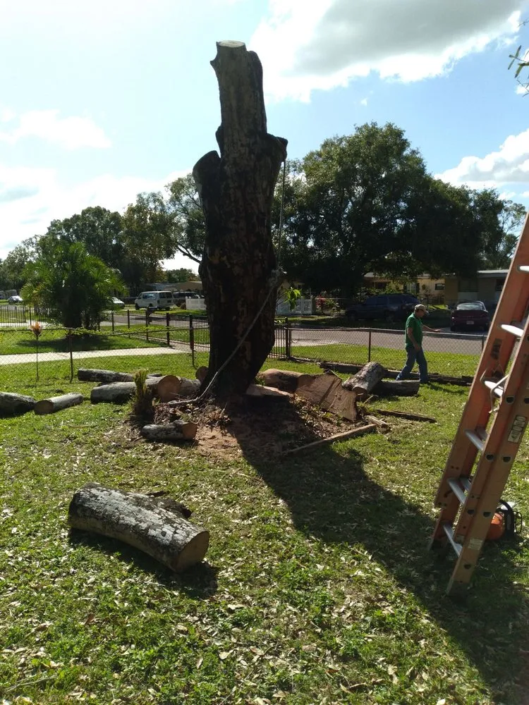 Trusted lawn care service in Tampa, FL by Leo's Tree & Landscaping Services