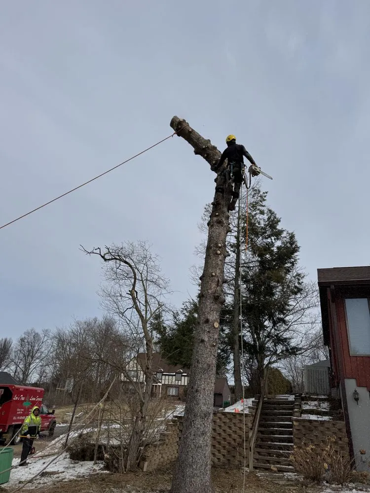 Affordable lawn mowing service in Bedford Hills, NY by Leo's Tree and Lawn Service