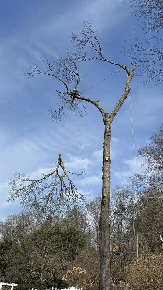 Trusted lawn mowing service for outdoor upgrades across Bedford Hills, NY - Leo's Tree and Lawn Service