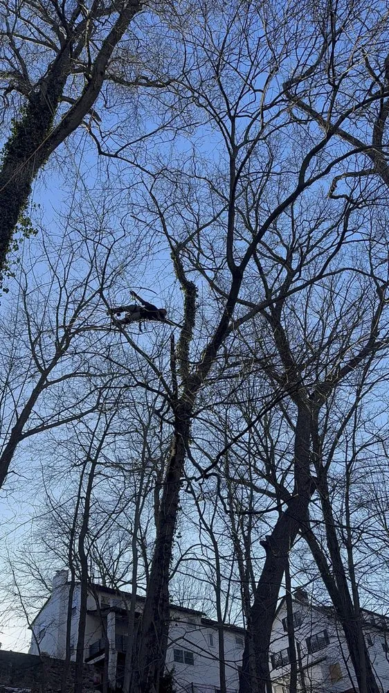 Custom landscape installation in Bedford Hills, NY by Leo's Tree and Lawn Service