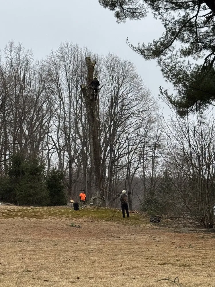 Reliable lawn mowing service experts serving Bedford Hills, NY - Leo's Tree and Lawn Service