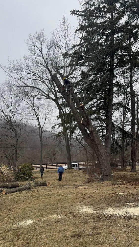 Top-rated lawn mowing service in Bedford Hills, NY - Leo's Tree and Lawn Service