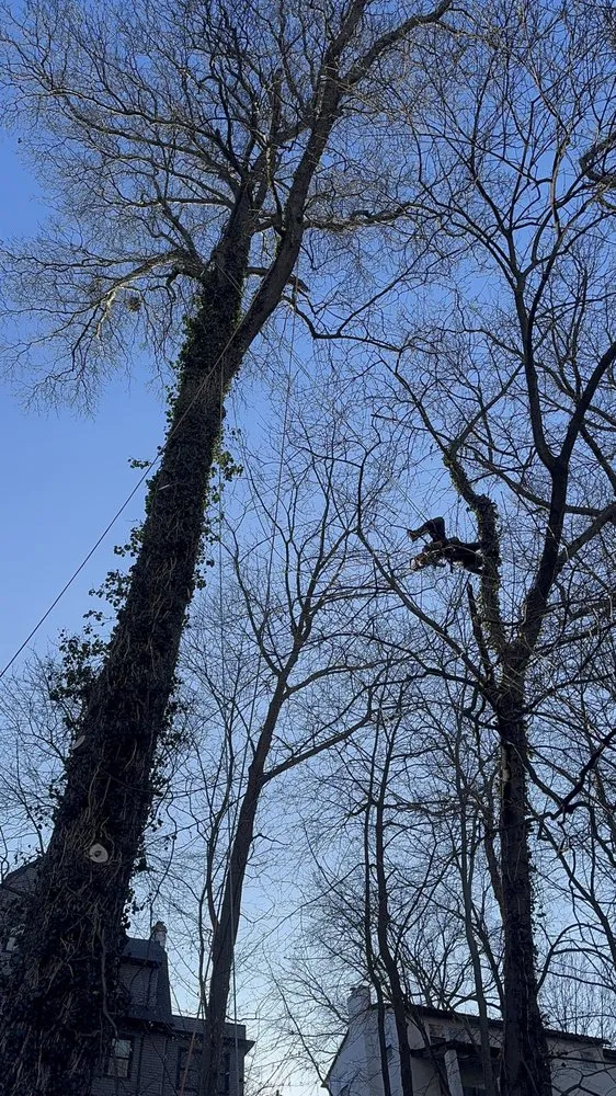 Reliable outdoor landscaping for outdoor upgrades across Bedford Hills, NY - Leo's Tree and Lawn Service