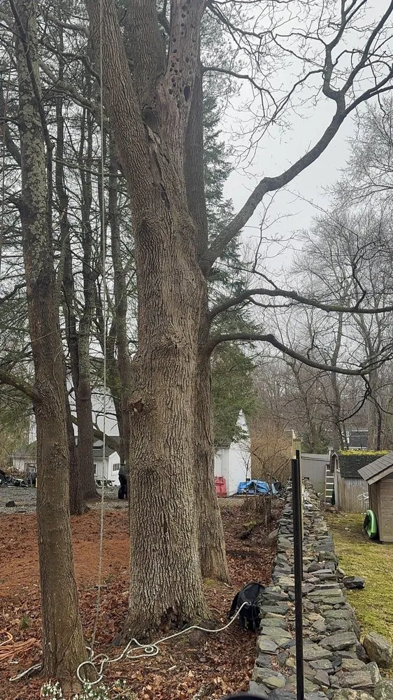 Top-rated landscape design for outdoor upgrades across Bedford Hills, NY - Leo's Tree and Lawn Service