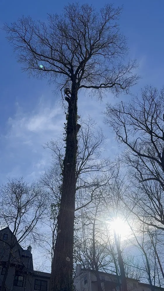 Reliable garden landscaping in Bedford Hills, NY by Leo's Tree and Lawn Service