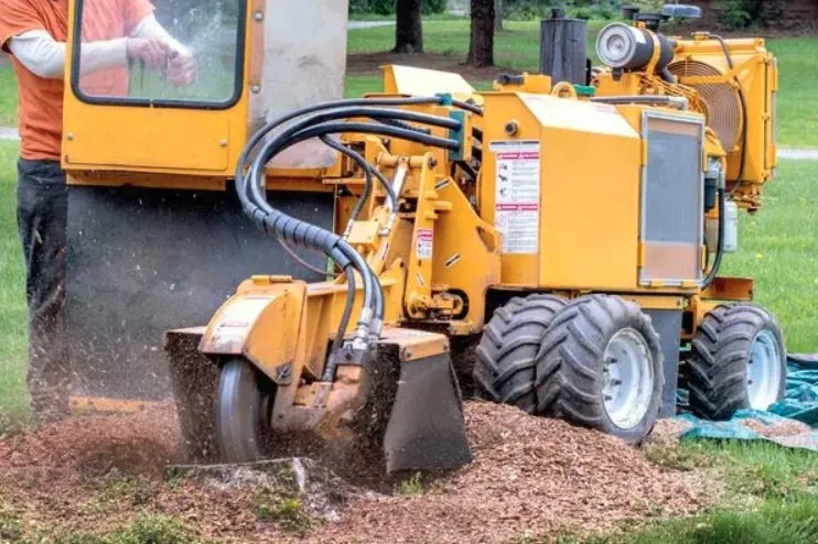 Affordable yard maintenance for beautiful yards across Bedford Hills, NY - Leo's Tree and Lawn Service