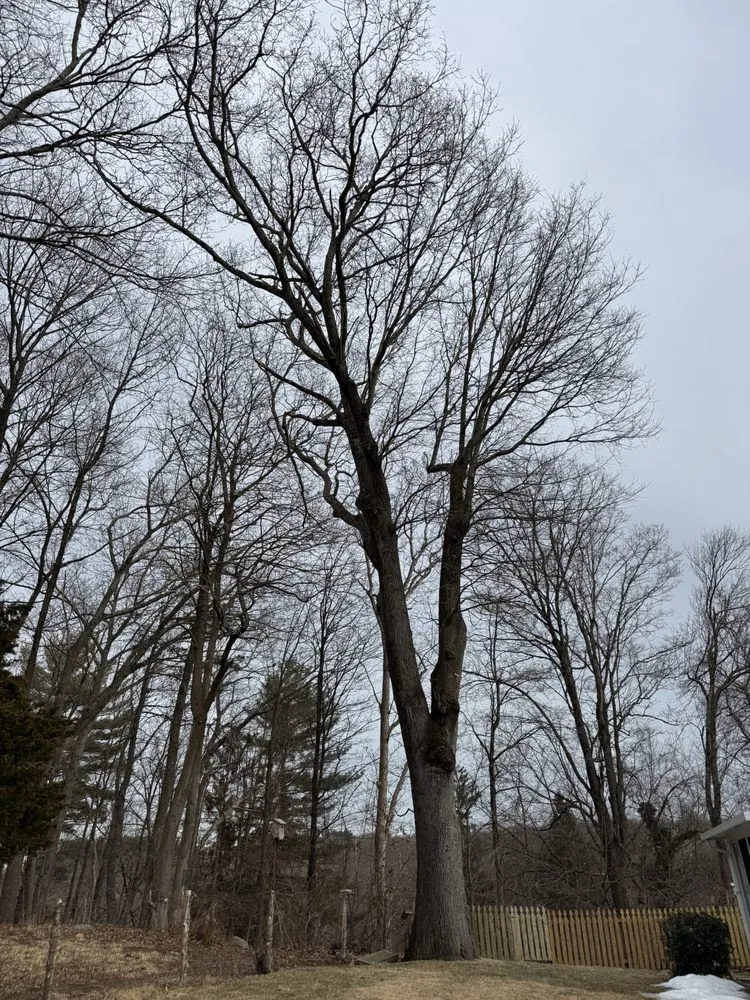 Top-rated yard maintenance with custom design across Bedford Hills, NY - Leo's Tree and Lawn Service