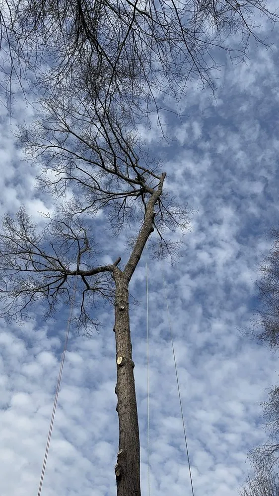 Custom lawn mowing service experts serving Bedford Hills, NY - Leo's Tree and Lawn Service