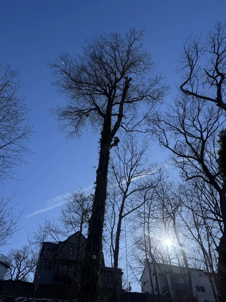 Expert landscape design for homes across Bedford Hills, NY - Leo's Tree and Lawn Service