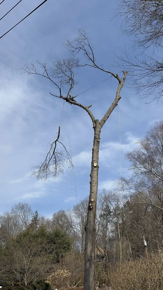 Trusted lawn mowing service in Bedford Hills, NY - Leo's Tree and Lawn Service