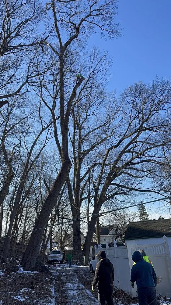 Professional garden landscaping in Bedford Hills, NY - Leo's Tree and Lawn Service