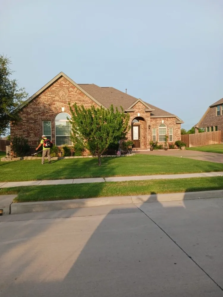 Professional yard maintenance for year-round maintenance in Albuquerque, NM by Leo's Tree Service