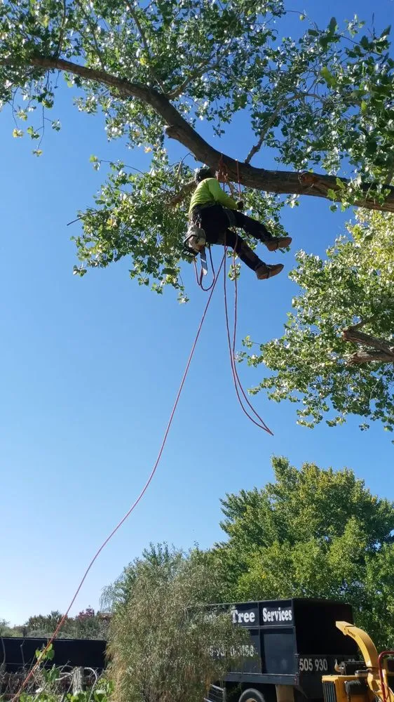 Expert garden landscaping in Albuquerque, NM by Leo's Tree Service