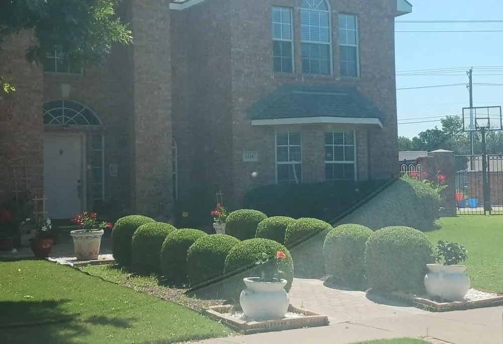 Expert lawn care service experts serving Albuquerque, NM - Leo's Tree Service