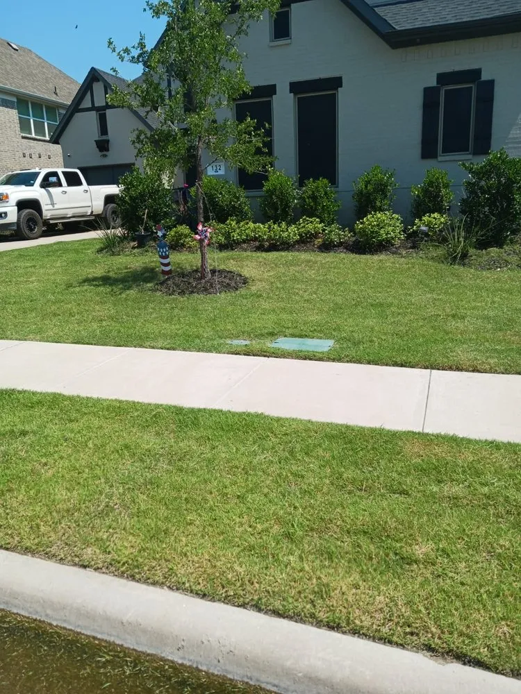 Local yard maintenance in Albuquerque, NM - Leo's Tree Service