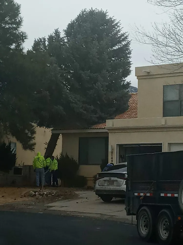 Affordable landscaping services for residential properties in Albuquerque, NM by Leo's Tree Service