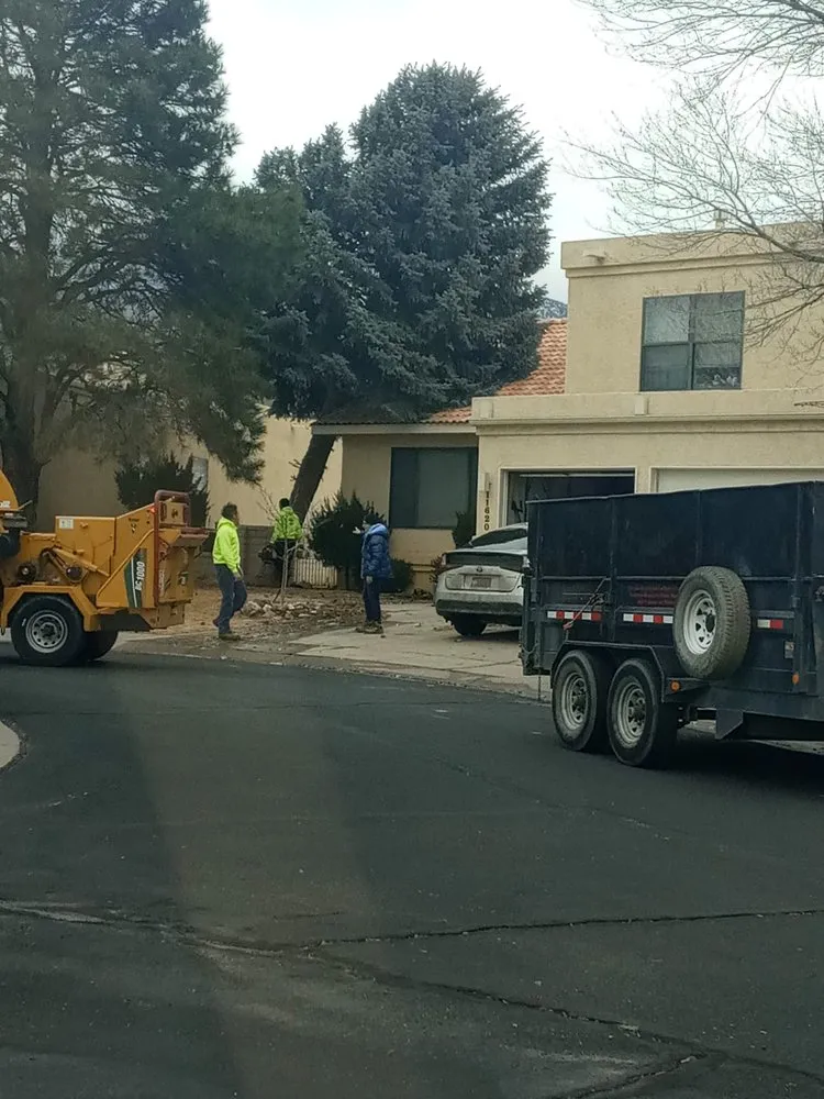 Expert residential landscaping in Albuquerque, NM - Leo's Tree Service