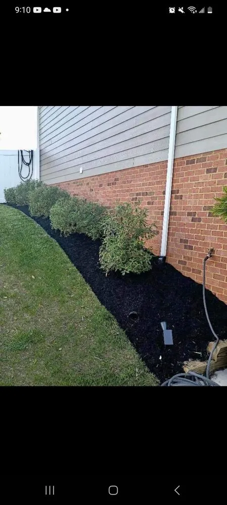 Professional landscaping services for year-round maintenance in Albuquerque, NM by Leo's Tree Service