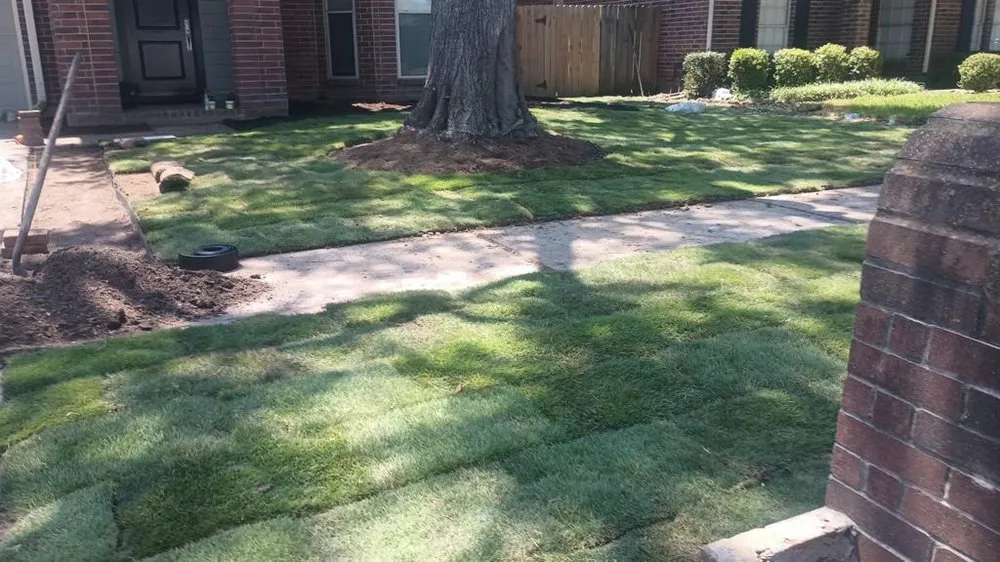 Trusted landscaping services experts serving Albuquerque, NM - Leo's Tree Service