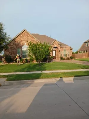 Leo's Tree Service Logo