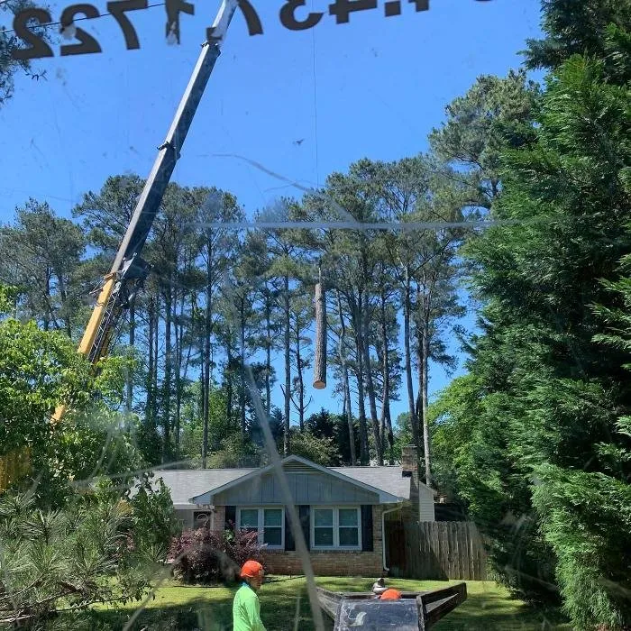 Professional landscape installation for beautiful yards in Marietta, GA by Leo's Tree Service