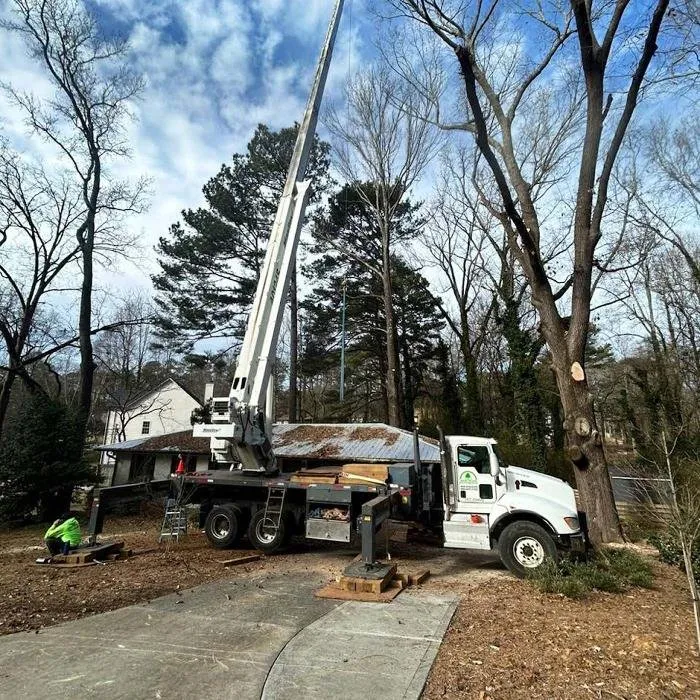 Local outdoor landscaping in Marietta, GA - Leo's Tree Service