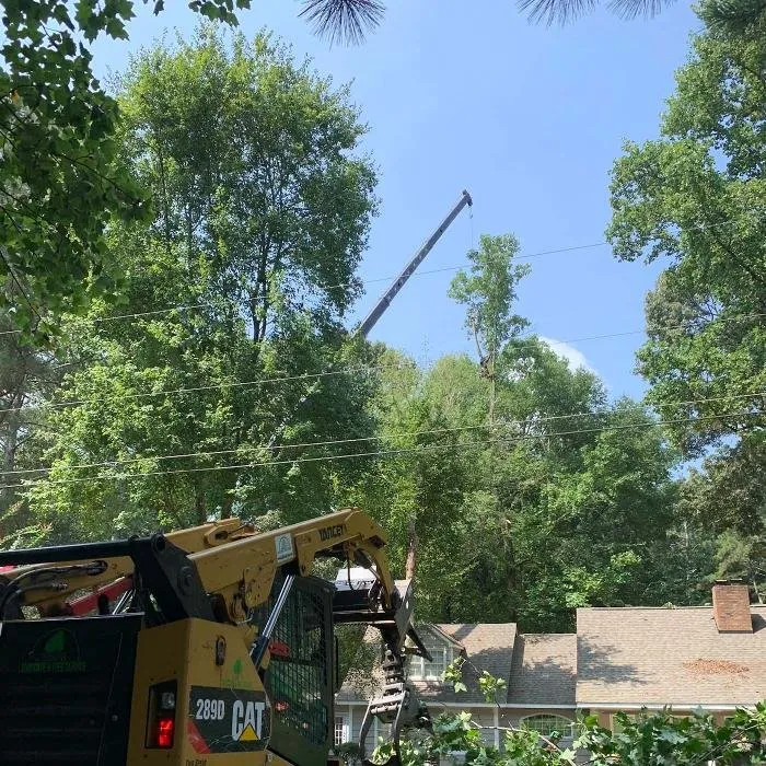 Expert lawn care service for beautiful yards across Marietta, GA - Leo's Tree Service