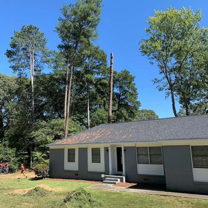 Trusted outdoor landscaping for year-round maintenance across Marietta, GA - Leo's Tree Service