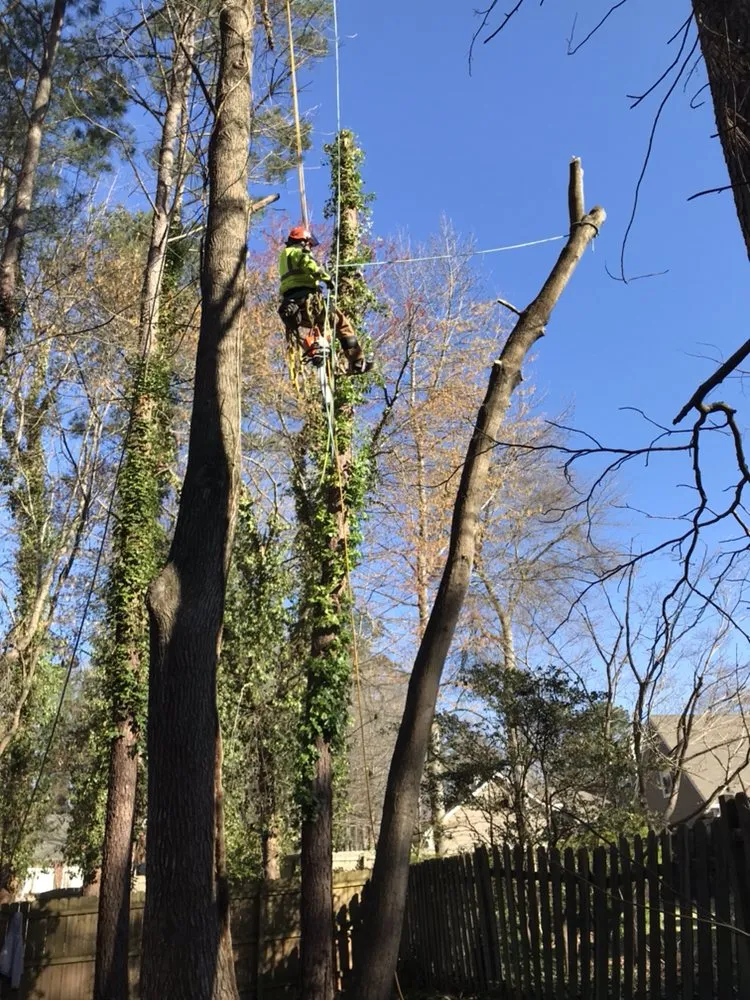 Trusted landscape design for residential properties across Marietta, GA - Leo's Tree Service