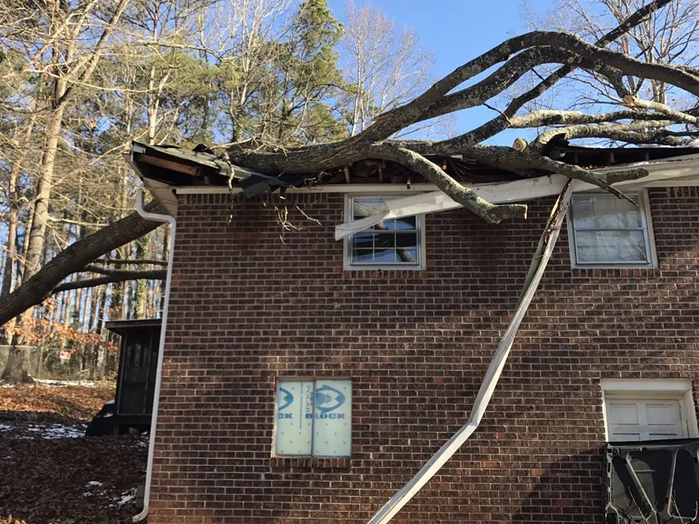 Reliable residential landscaping in Marietta, GA - Leo's Tree Service