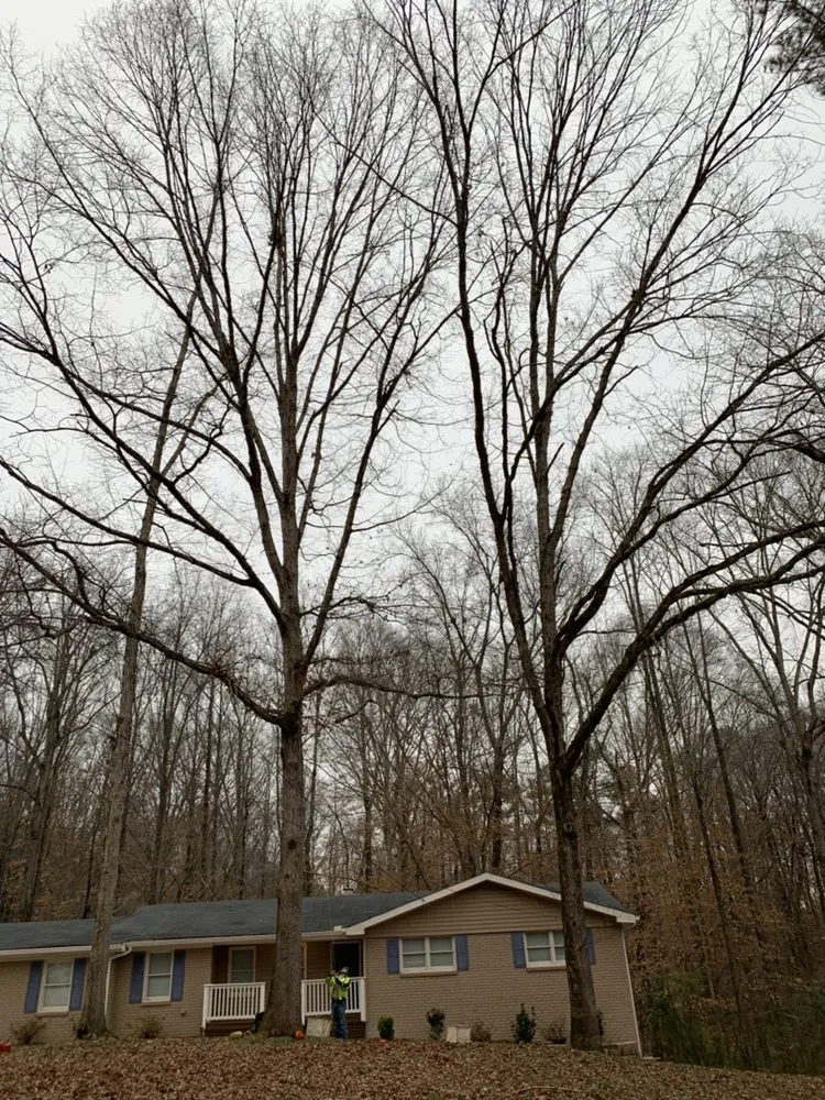 Expert garden landscaping for residential properties across Marietta, GA - Leo's Tree Service