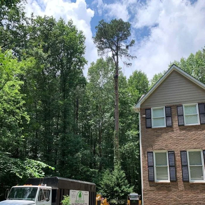 Local residential landscaping in Marietta, GA by Leo's Tree Service