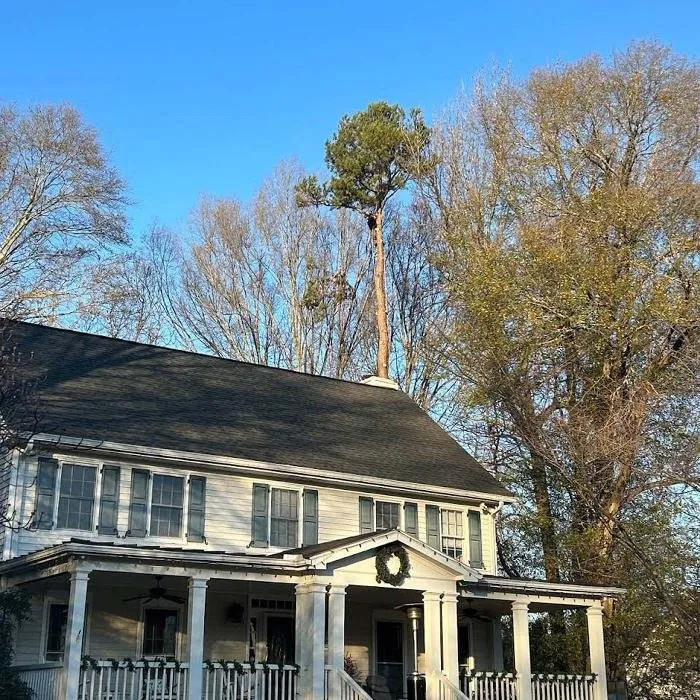 Custom yard cleanup service in Marietta, GA - Leo's Tree Service
