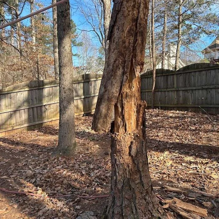 Custom garden landscaping in Marietta, GA by Leo's Tree Service