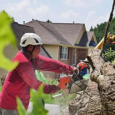 Leo's Tree Service Logo