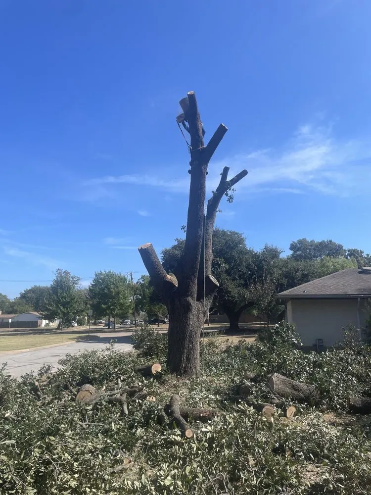 Professional landscaping services in Euless, TX by Leota Landscaping and Construction