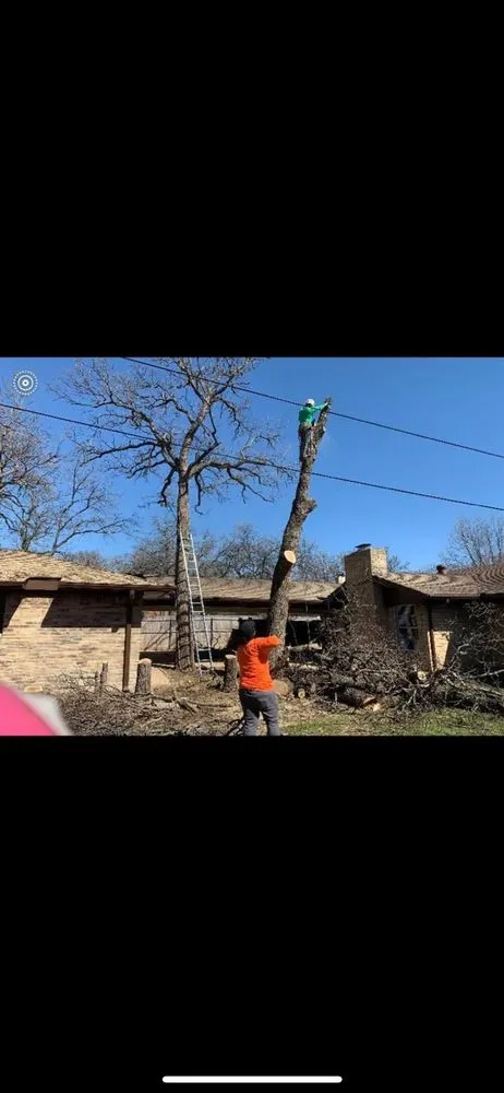 Local landscape installation in Euless, TX by Leota Landscaping and Construction