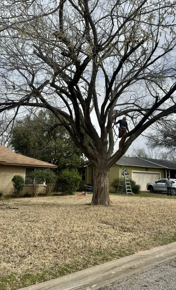 Top-rated outdoor landscaping for homes across Euless, TX - Leota Landscaping and Construction