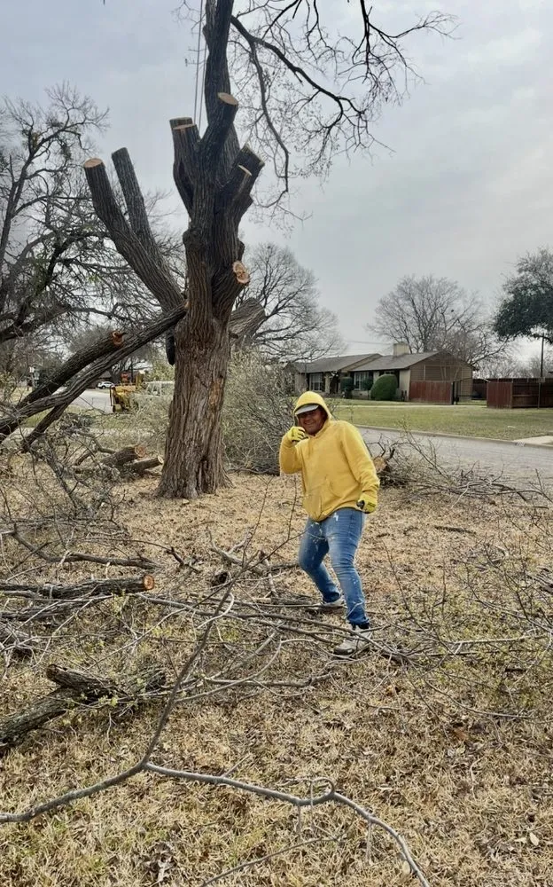 Custom lawn care service for residential properties across Euless, TX - Leota Landscaping and Construction