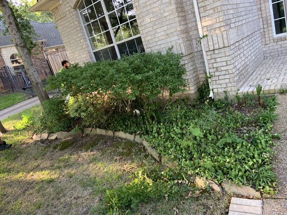 Professional lawn mowing service with custom design across Euless, TX - Leota Landscaping