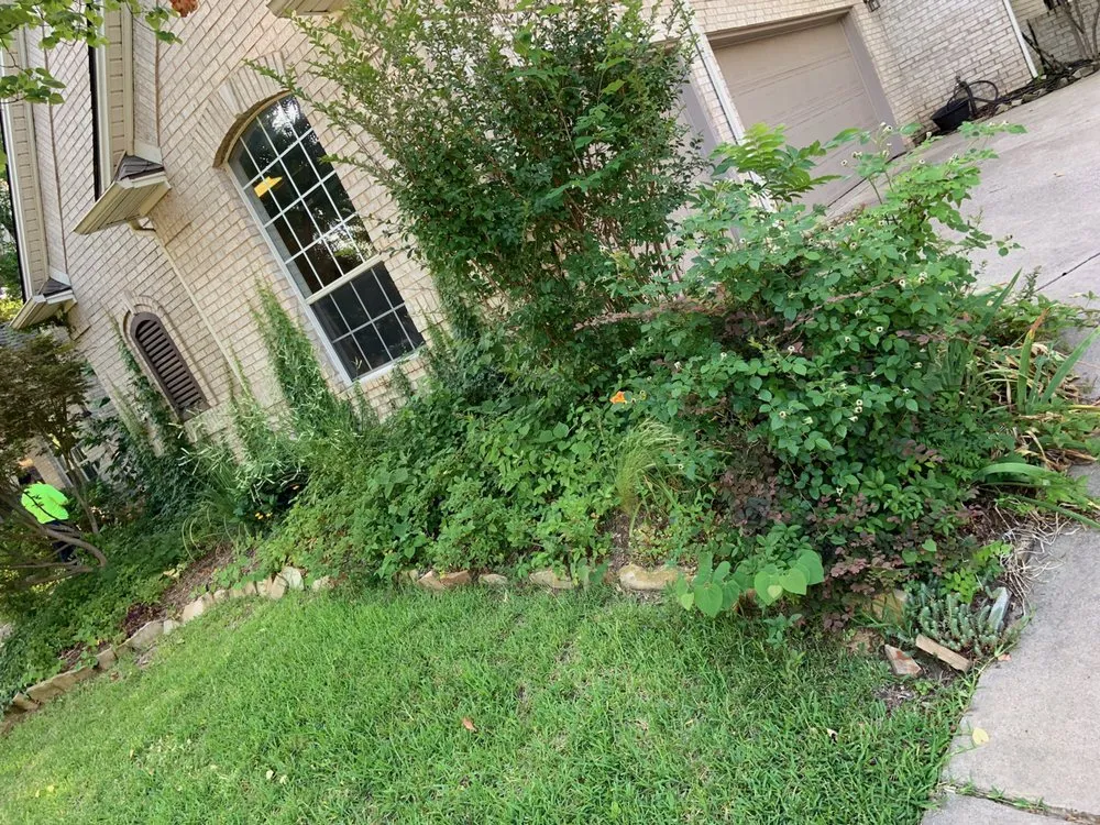 Reliable residential landscaping in Euless, TX by Leota Landscaping