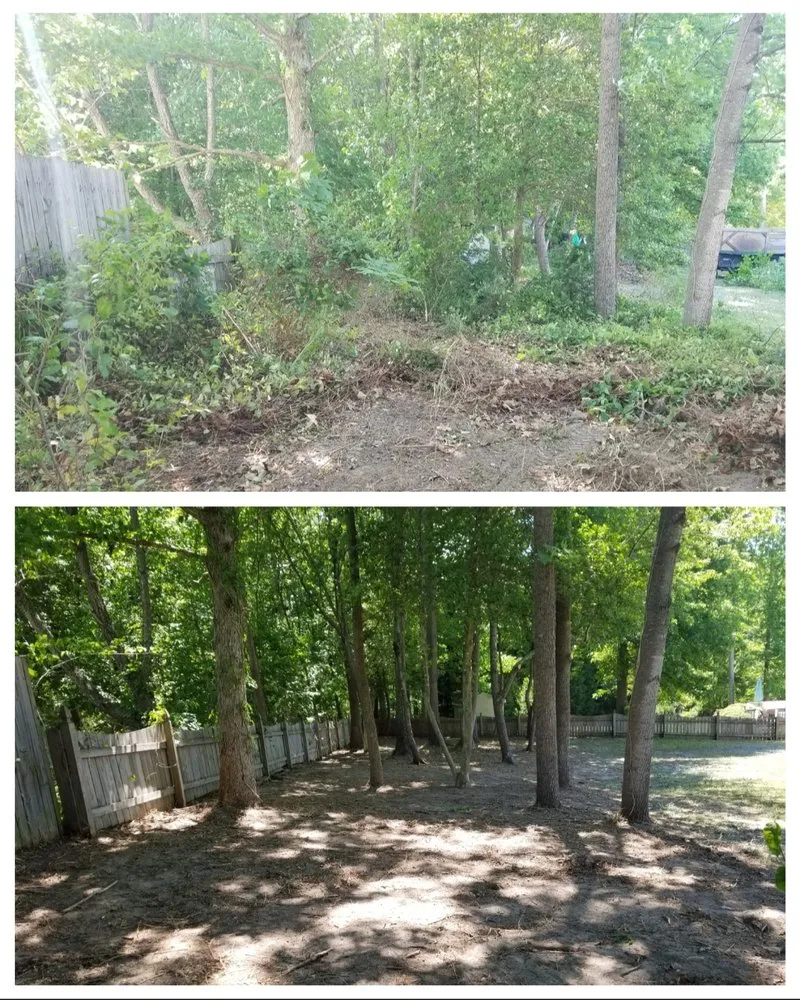 Reliable landscape installation in Chester, VA - Lepe Lawn Care