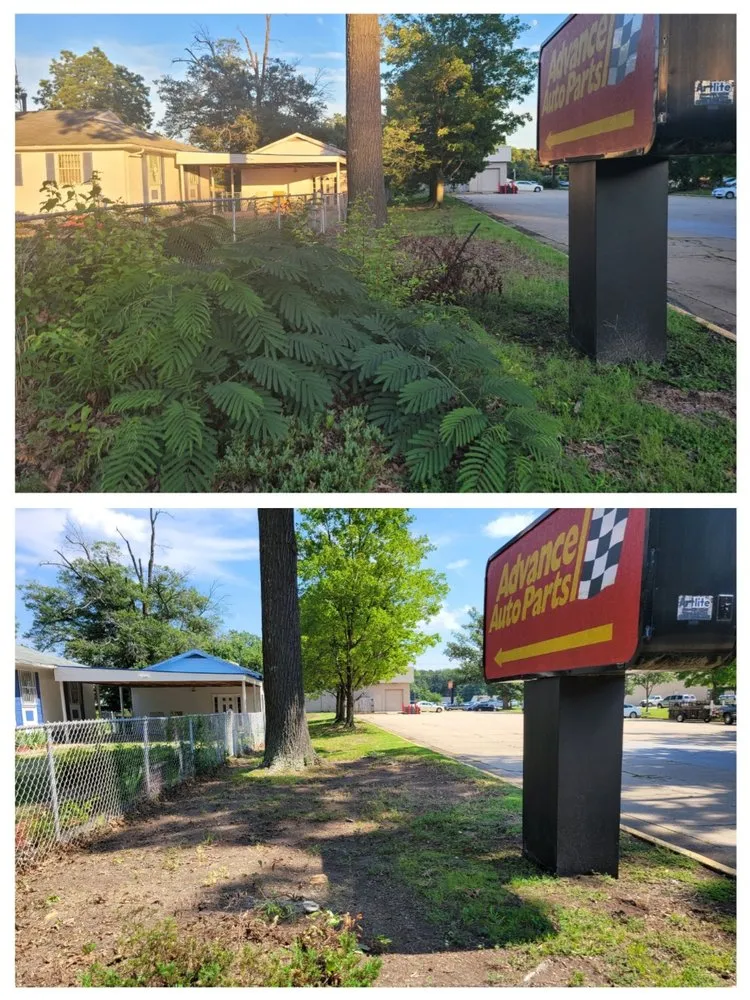 Professional yard cleanup service near you in Chester, VA by Lepe Lawn Care