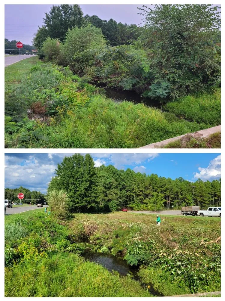 Top-rated yard cleanup service for beautiful yards in Chester, VA by Lepe Lawn Care