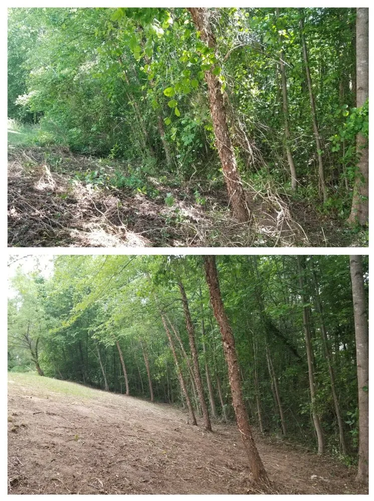 Local residential landscaping for outdoor upgrades across Chester, VA - Lepe Lawn Care