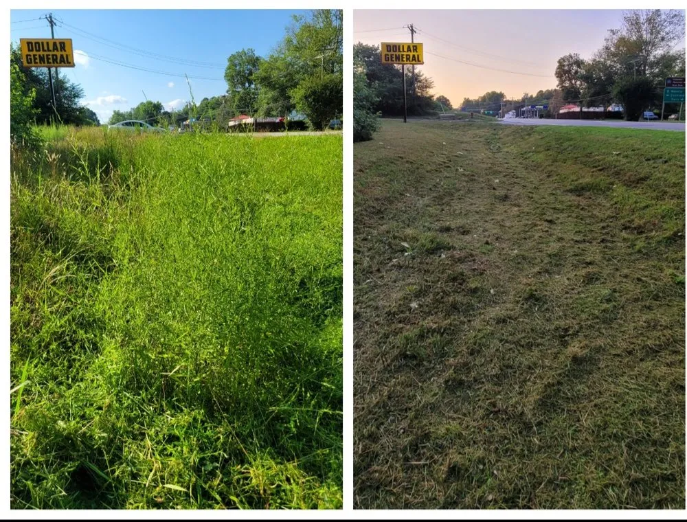 Expert residential landscaping experts serving Chester, VA - Lepe Lawn Care