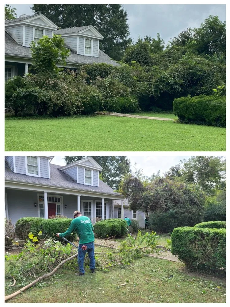 Affordable lawn care service near you across Chester, VA - Lepe Lawn Care