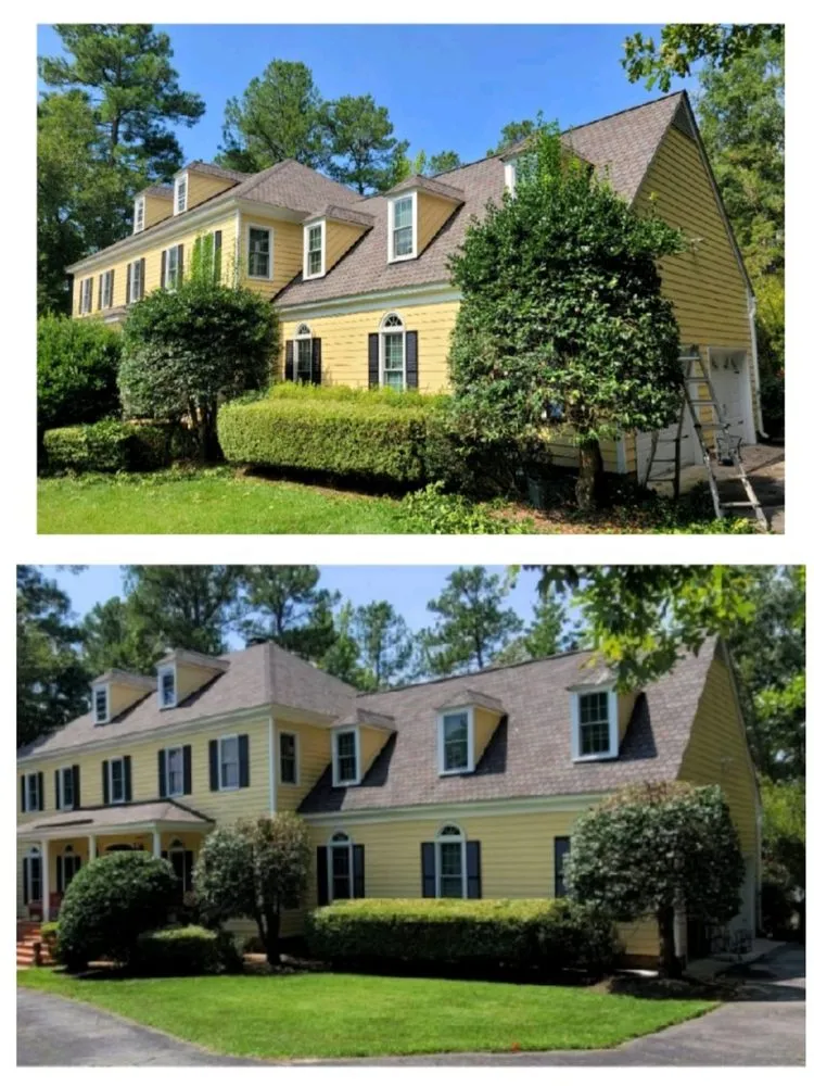 Local lawn mowing service in Chester, VA - Lepe Lawn Care