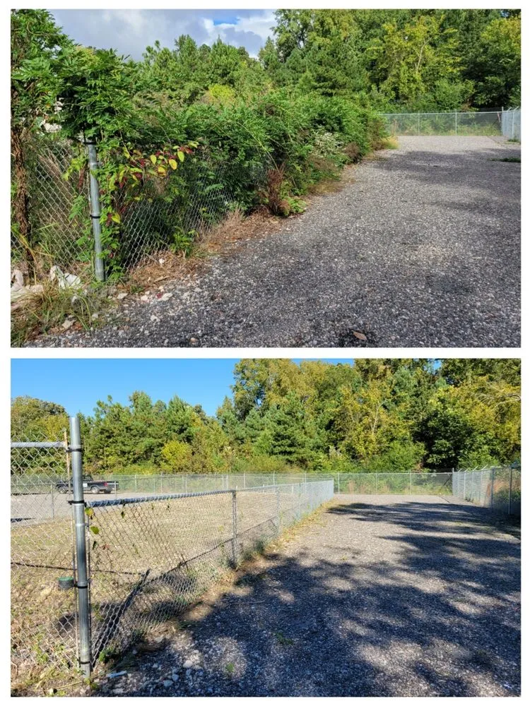 Custom landscape design in Chester, VA by Lepe Lawn Care