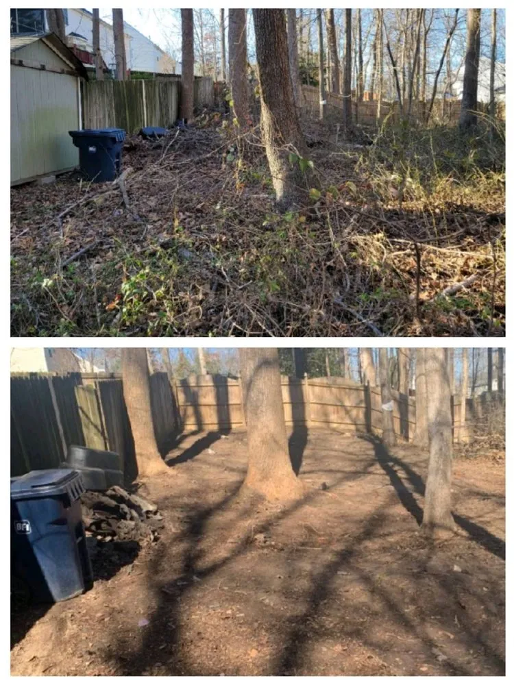 Expert outdoor landscaping in Chester, VA by Lepe Lawn Care